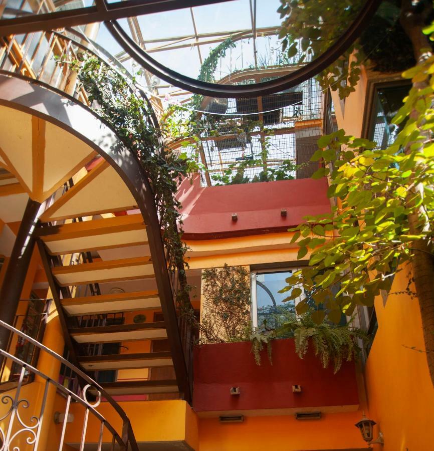Chalet Del Carmen, Coyoacan Mexico by Eksteriør bilde